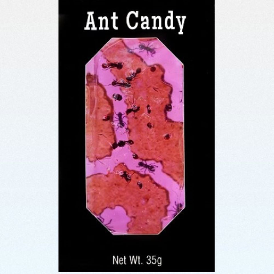 Ant Candy Cherry