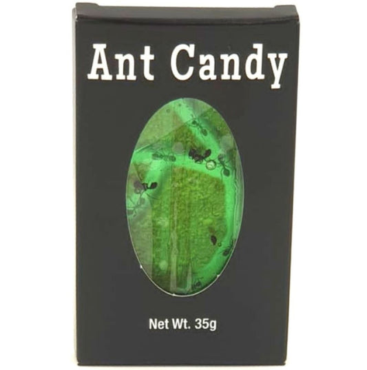 Ant Candy Apple